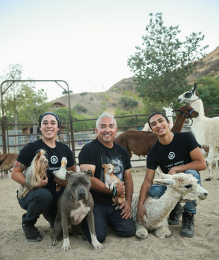 Der Starhundetrainer mit dem besonderen Edutainment